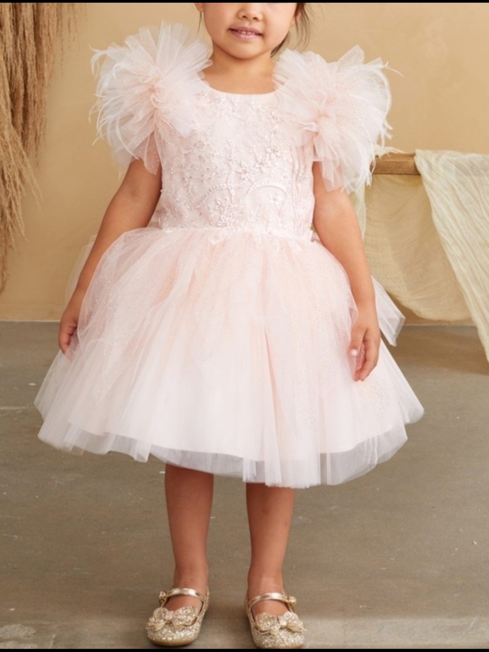 Tip Top Kids Blush Pink Tulle Party Dress